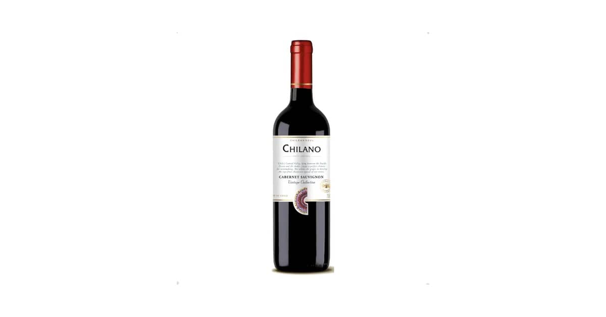 Melhor Vinho Barato: Guia Essencial de Degustação