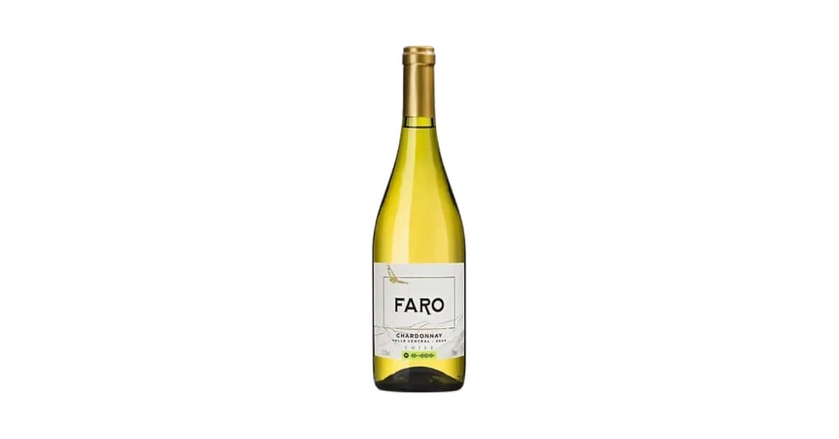 Melhor Vinho do Mundo: Guia Essencial dos Sabores Globais