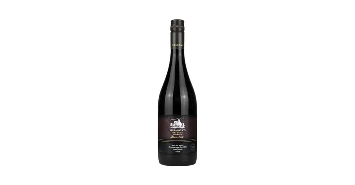 Melhor Vinho Tinto Pinot Noir: Guia de Sabores e Aromas