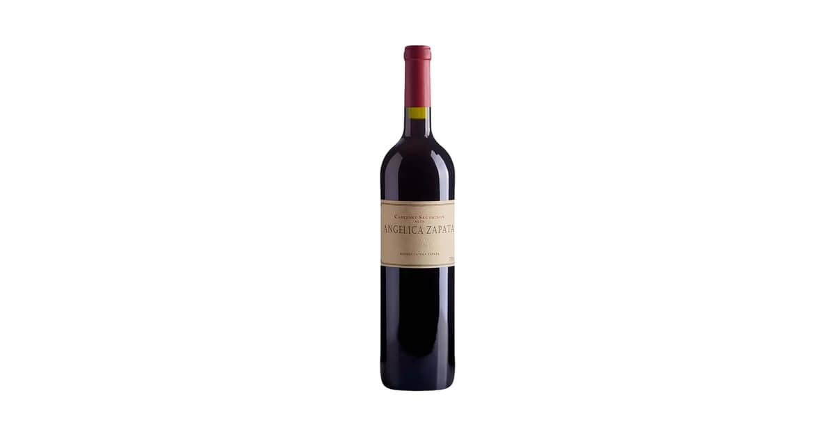 Melhor Vinho Tinto Seco Argentino: Descubra Sabores Únicos