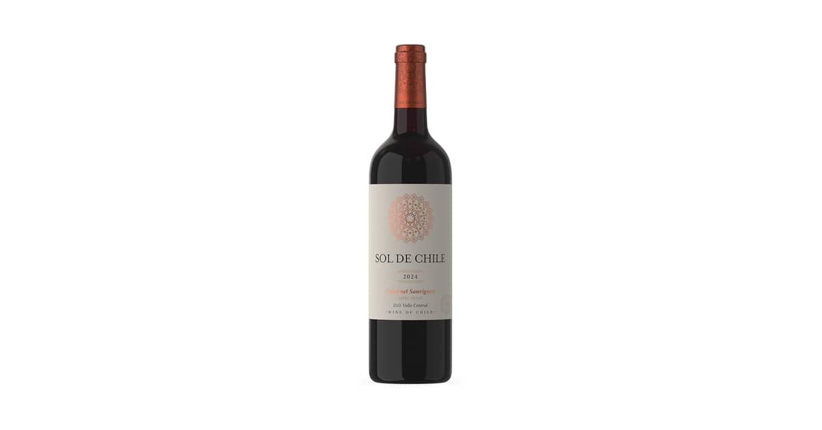 Melhor Vinho Tinto Suave Chileno: 5 Opções Deliciosas