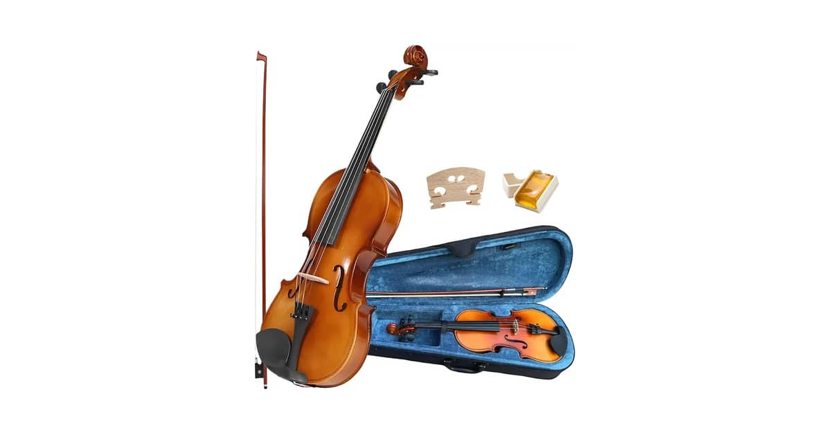 Melhor Violino Barato e Bom: 10 Modelos de Entrada