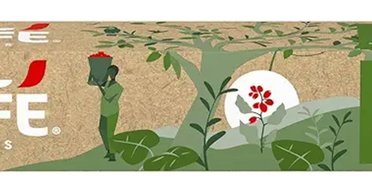 Melhores Cápsulas Compatíveis com Nespresso: Guia de Sabores e Intensidade