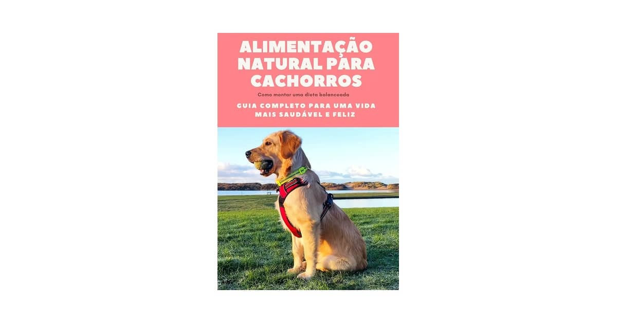 Qual a melhor alimentação natural para cachorro: Guia