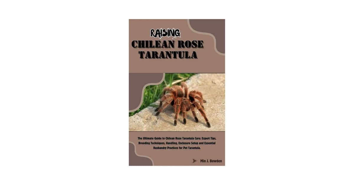 Qual a Melhor Aranha para Criar como Pet: O Guia