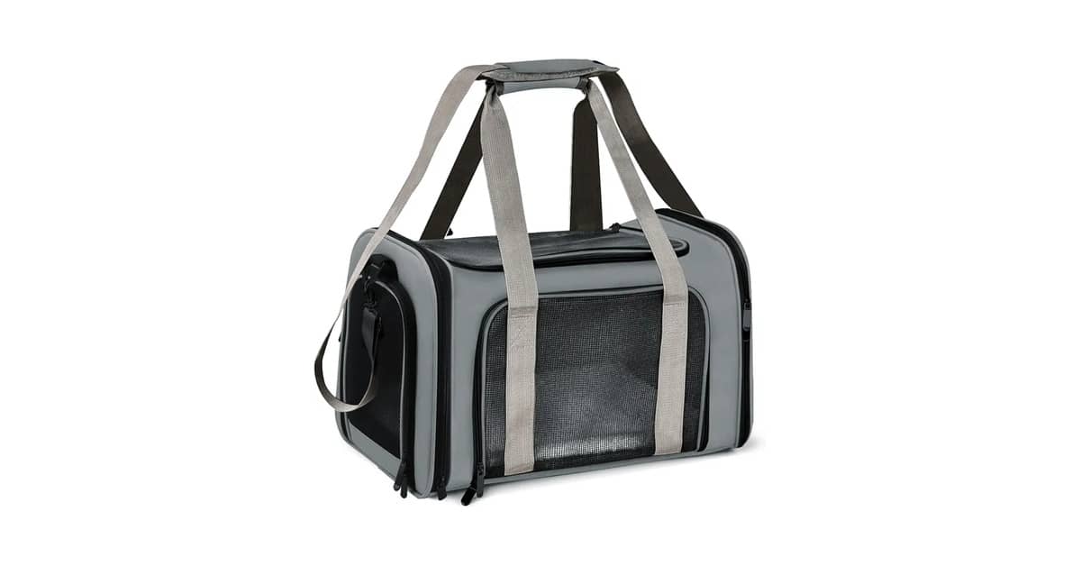 Qual a Melhor Bolsa de Transporte para Caes Aérea