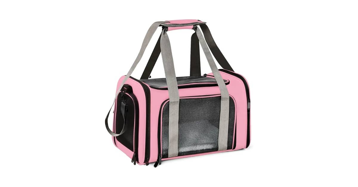 Qual a melhor bolsa de transporte para gatos para viagens seguras