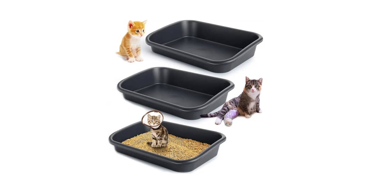 Qual a Melhor Caixa de Areia para Gatos Idosos com Entrada Baixa: 10 Opções de Acesso Fácil