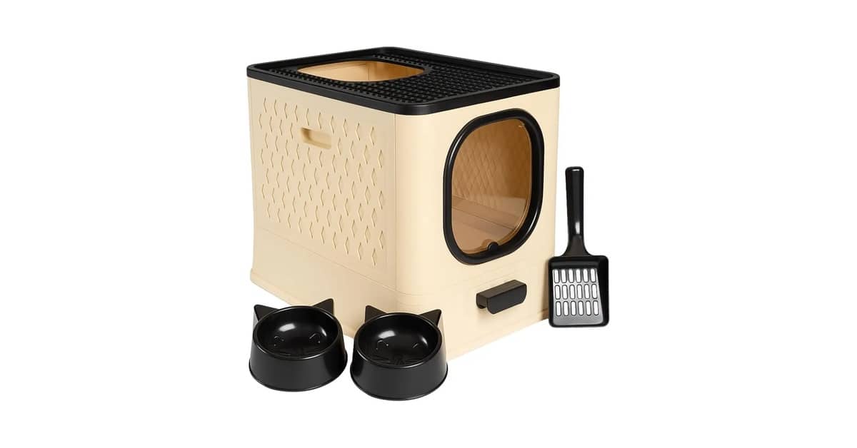 Qual a Melhor Caixa de Areia para Gatos que Não Espalha Odor?