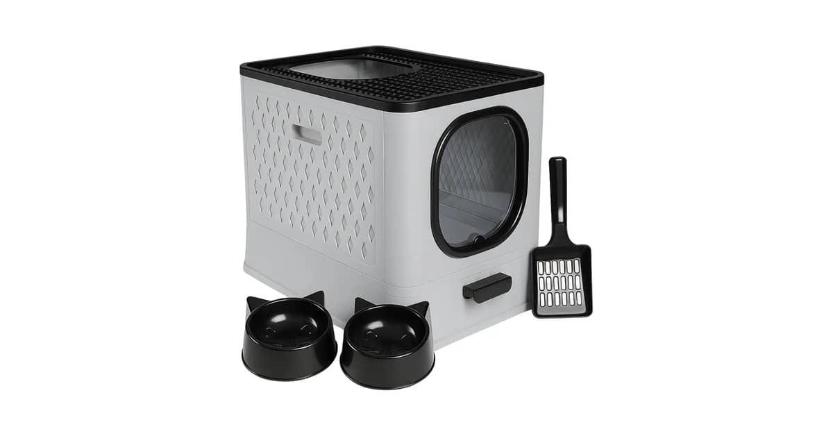 Qual a melhor caixa de areia para gatos que não gostam de lugares fechados? Guia com 2 modelos abertos
