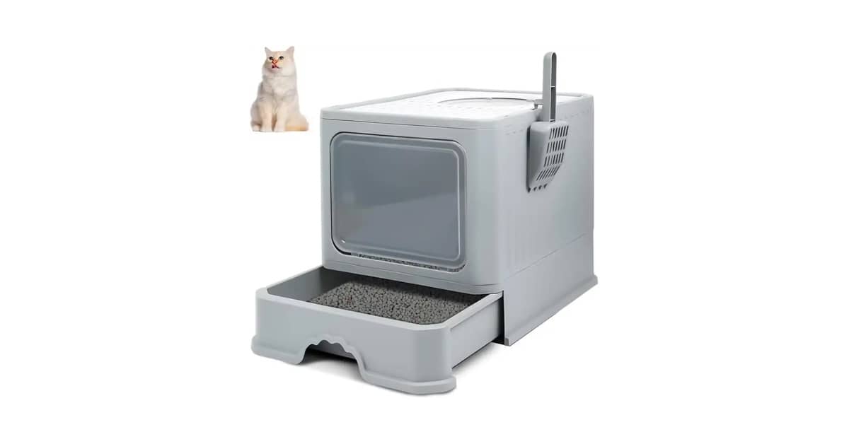 Qual a Melhor Caixa de Areia para Gatos que Não Gostam de Porta? 5 Opções Abertas