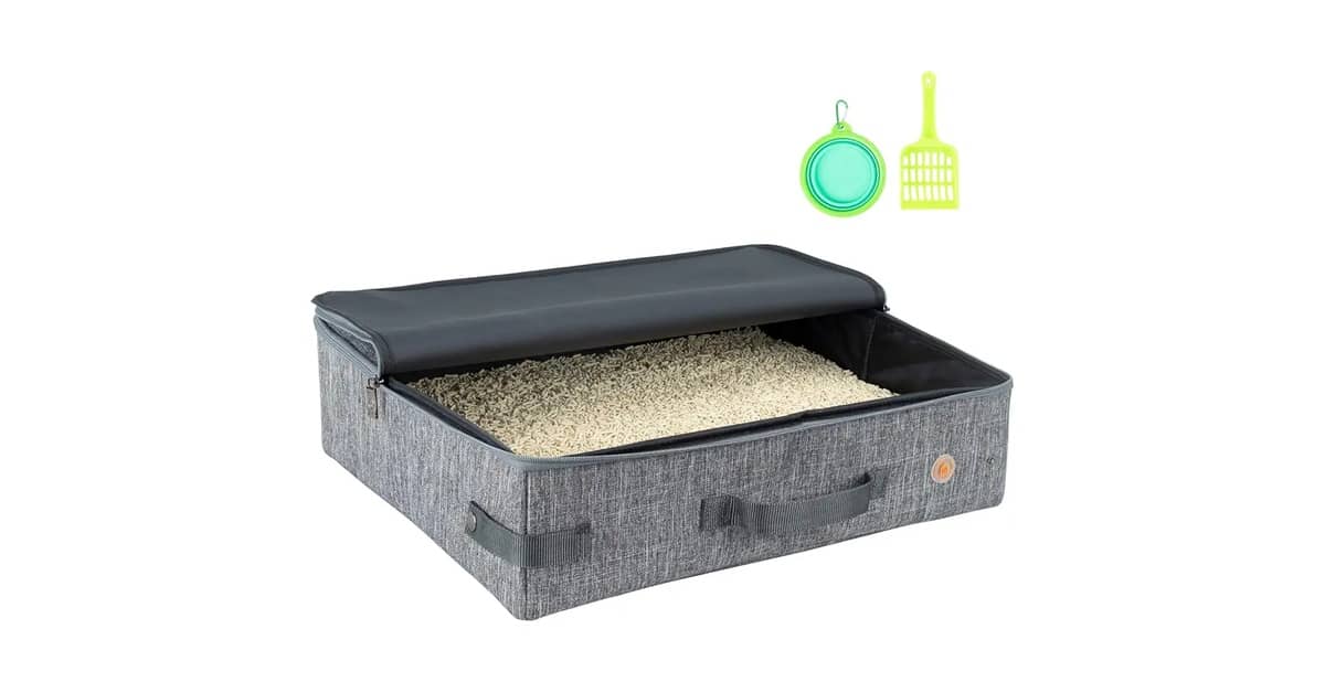 Qual a Melhor Caixa de Areia para Gatos que Viajam