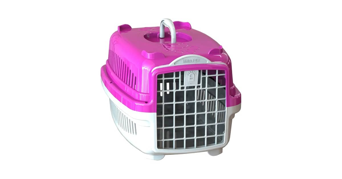 Qual a Melhor Caixa de Transporte para Gatos (Tamanho)? Guia por Peso