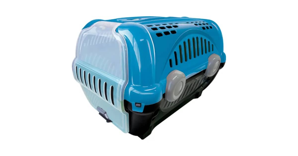 Qual a Melhor Caixa de Transporte para Gatos por Tipo