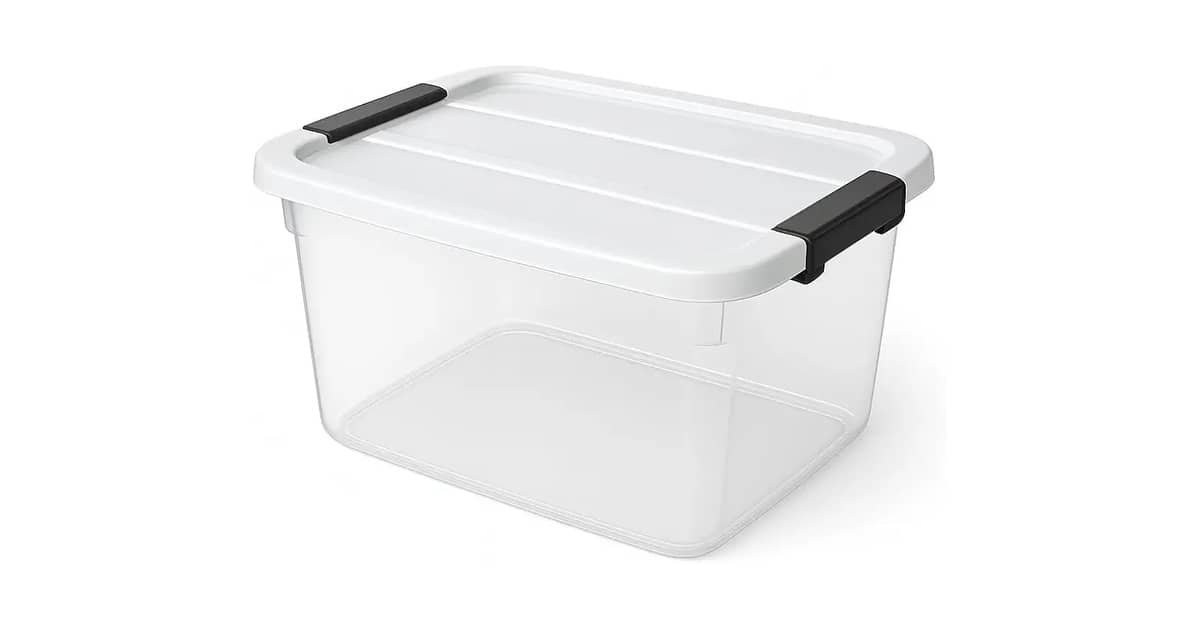 Qual a Melhor Caixa Organizadora Transparente para Ver o Conteúdo: 10 Modelos