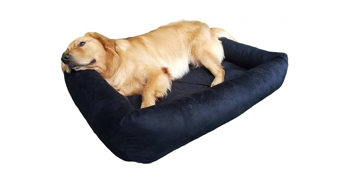 Qual a melhor cama para cachorro de porte grande? Guia