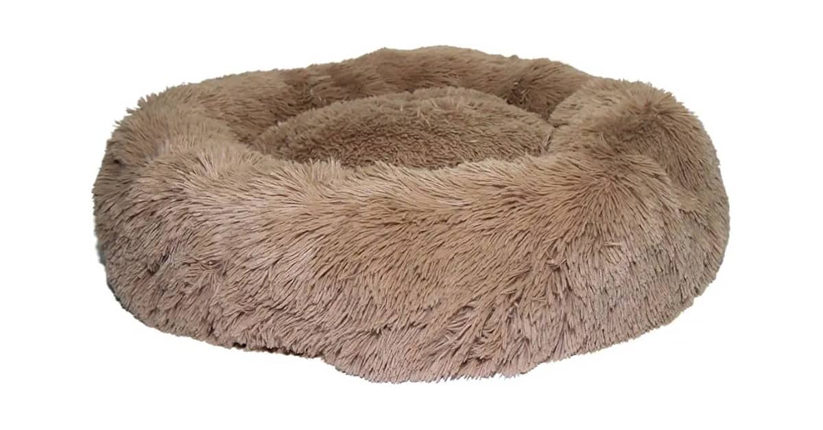 Qual a Melhor Cama para Furão? 10 Tocas Aconchegantes