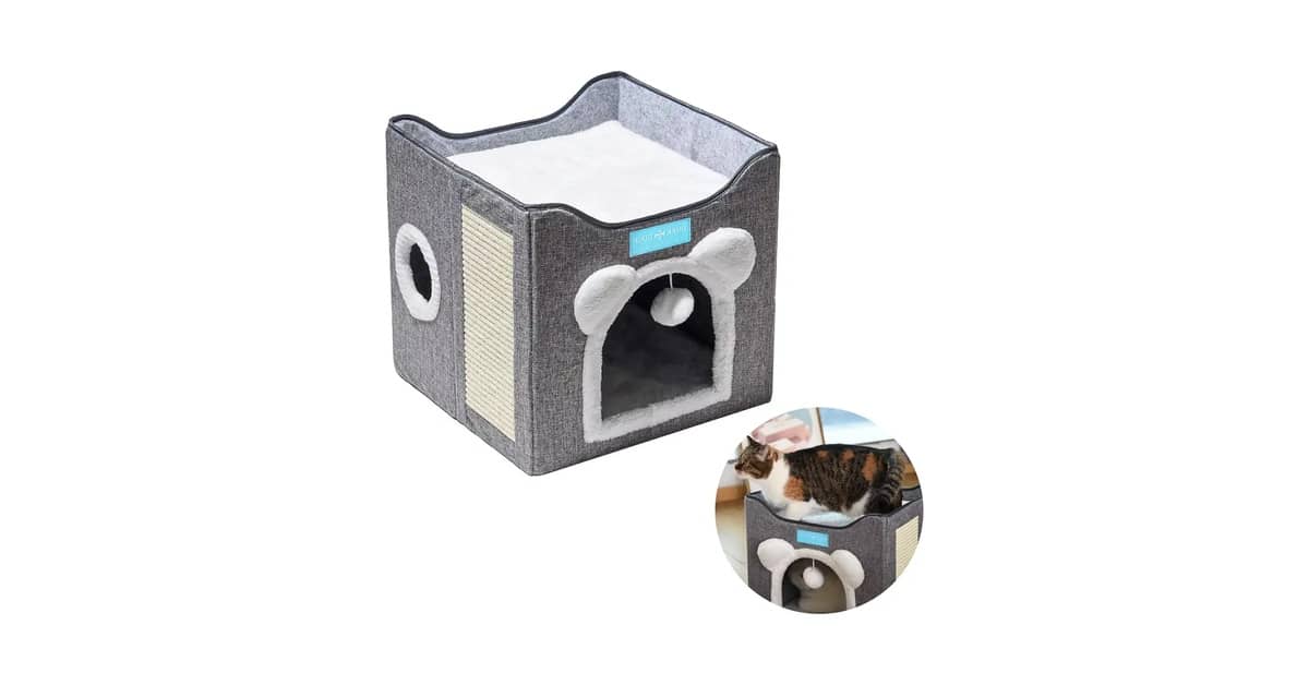 Qual a melhor cama para gatos que gostam de se esconder? Toca, Iglu ou Túnel?