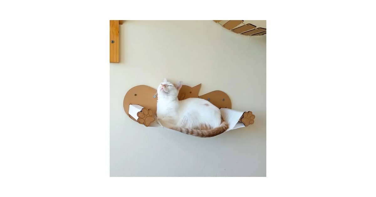 Qual a Melhor Cama para Gatos que Pode Ser Pendurada na Parede? Análise
