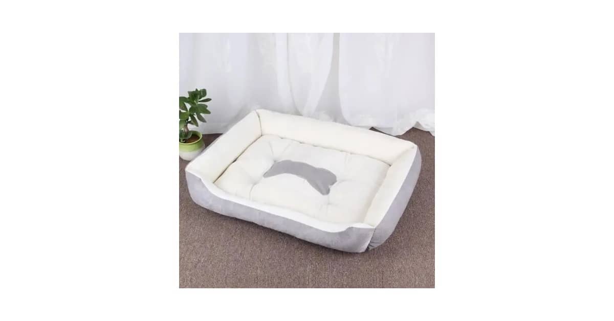Qual a melhor cama para gatos? Do Iglu à Rede