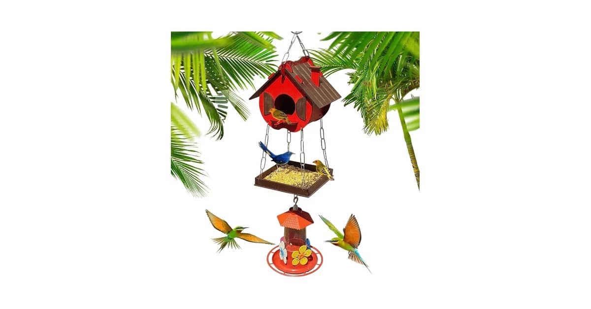 Qual a melhor casa de passarinho? Guia c/ 10 tipos