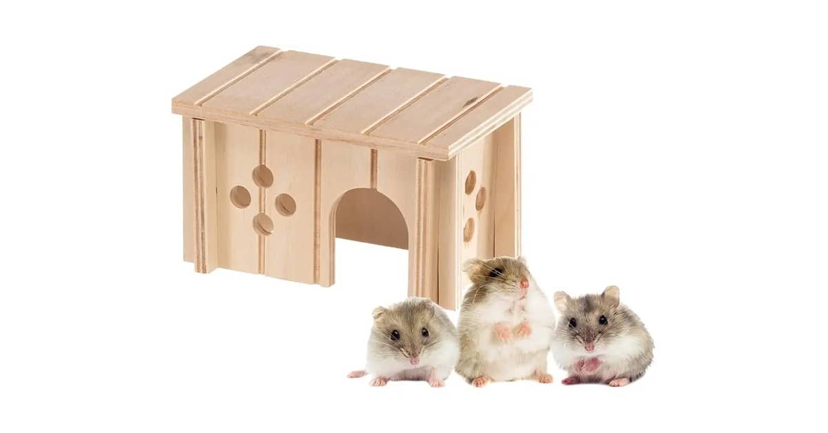 Qual a melhor casinha de coco para hamster seguro?