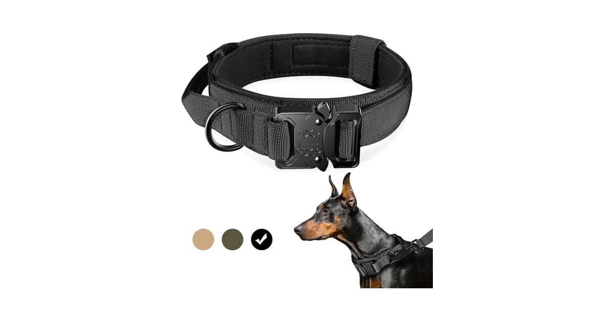 Qual a Melhor Coleira para Cachorro com Alça de Controle? Análise de 8 Modelos Táticos