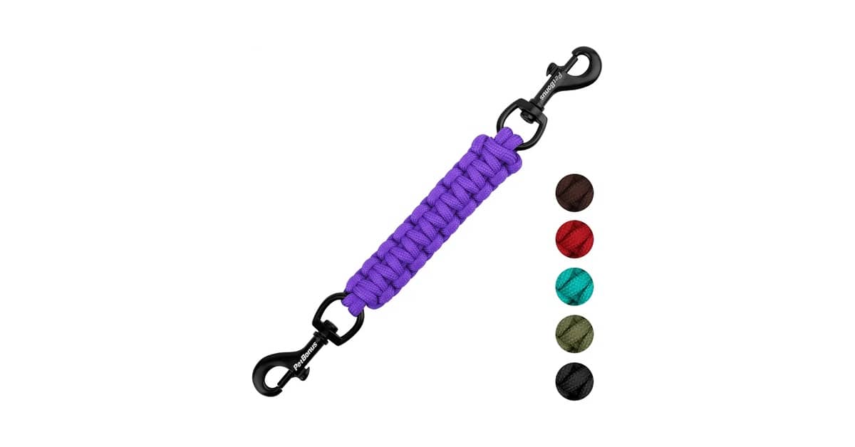 Qual a Melhor Coleira com Fecho de Segurança? Guia