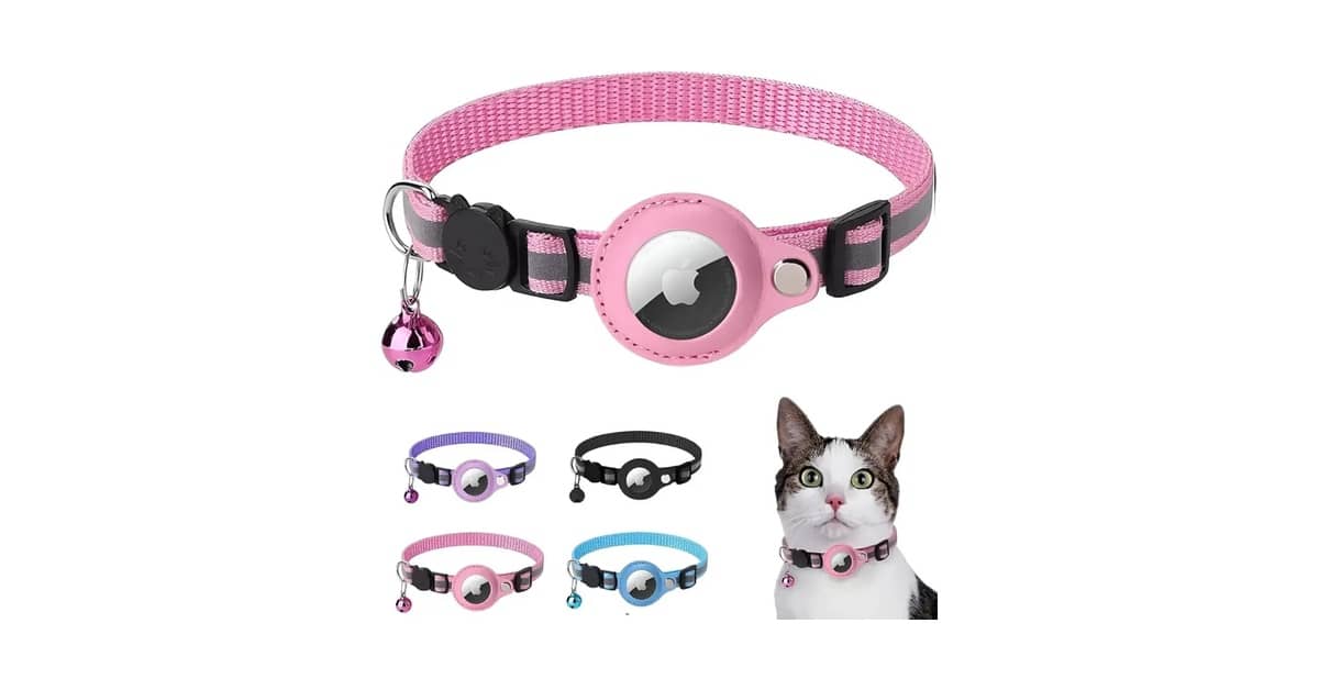 Qual a Melhor Coleira para Cachorro com GPS: Guia