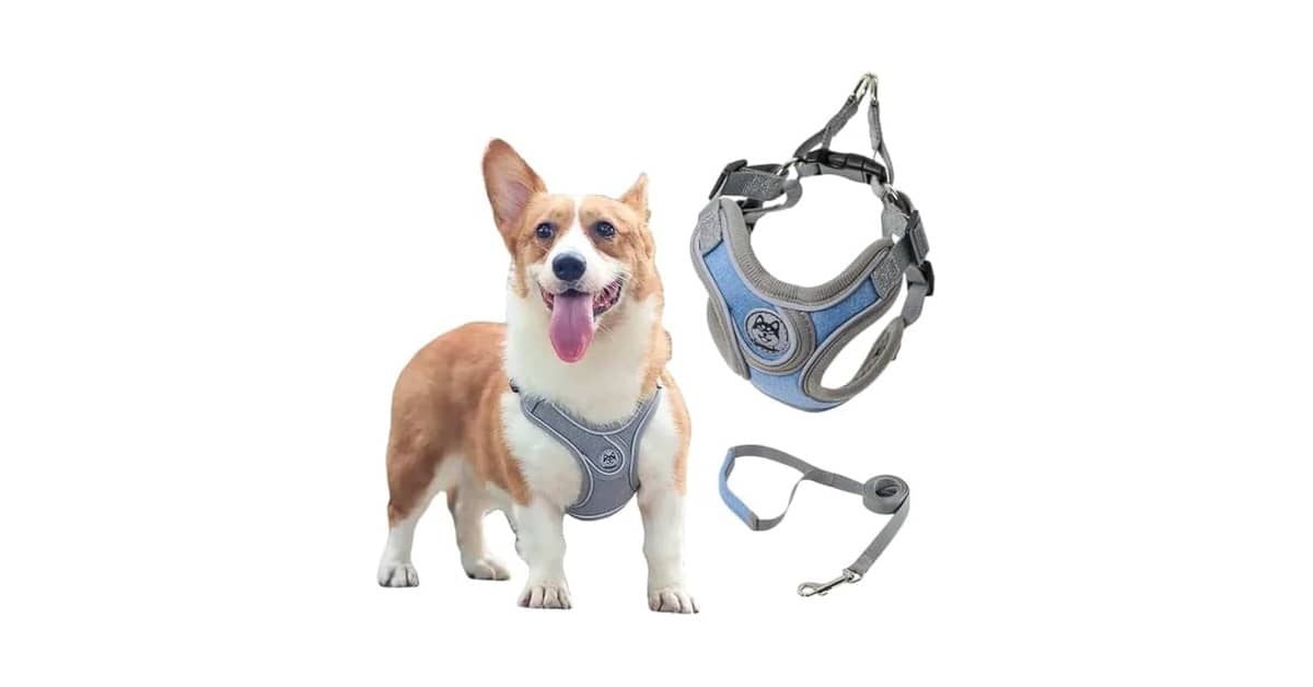 Qual a Melhor Coleira para Cachorro com Guia e Peitoral Acolchoado para Passeios Seguros