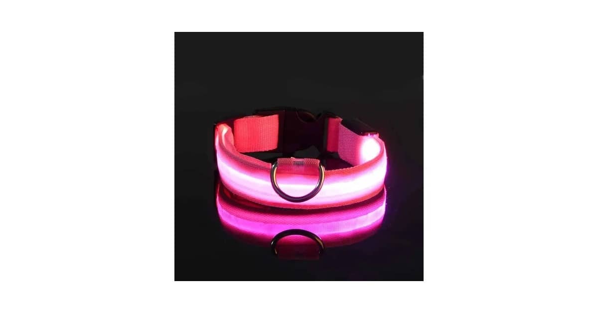 Qual a Melhor Coleira para Cachorro com LED? Análise