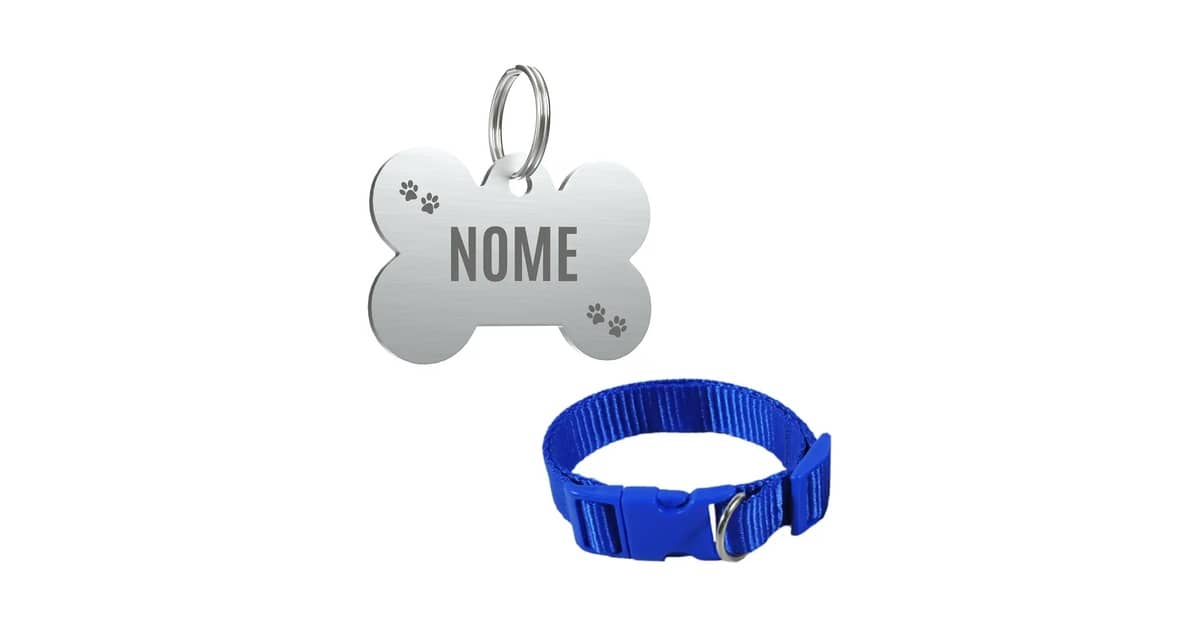 Qual a melhor coleira para cachorro com nome e número de telefone gravados: 10 modelos analisados