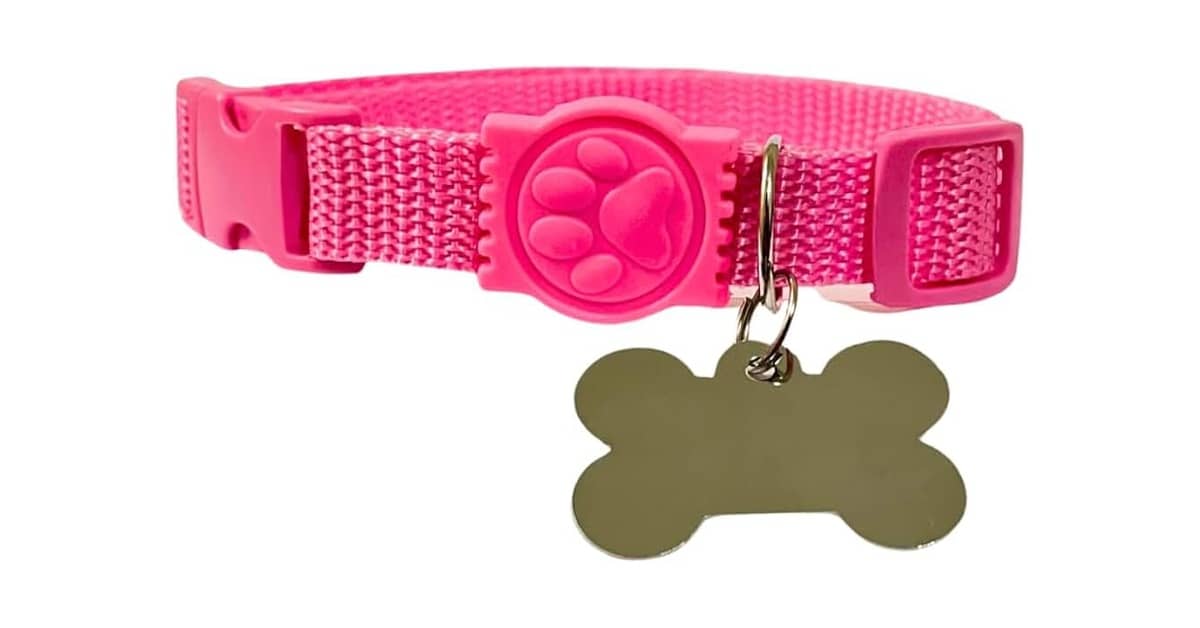 Qual a Melhor Coleira para Cachorro com Placa de Identificação? Análise de 7 Modelos