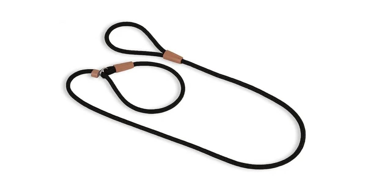 Qual a Melhor Coleira para Passeio com Guia Unificada? Foco em Adestramento