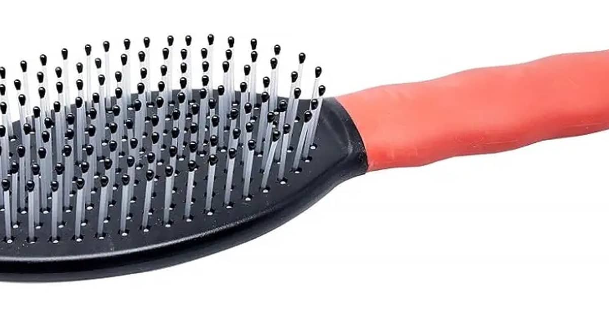 Qual a Melhor Escova para Cães de Pelo Longo e Grosso