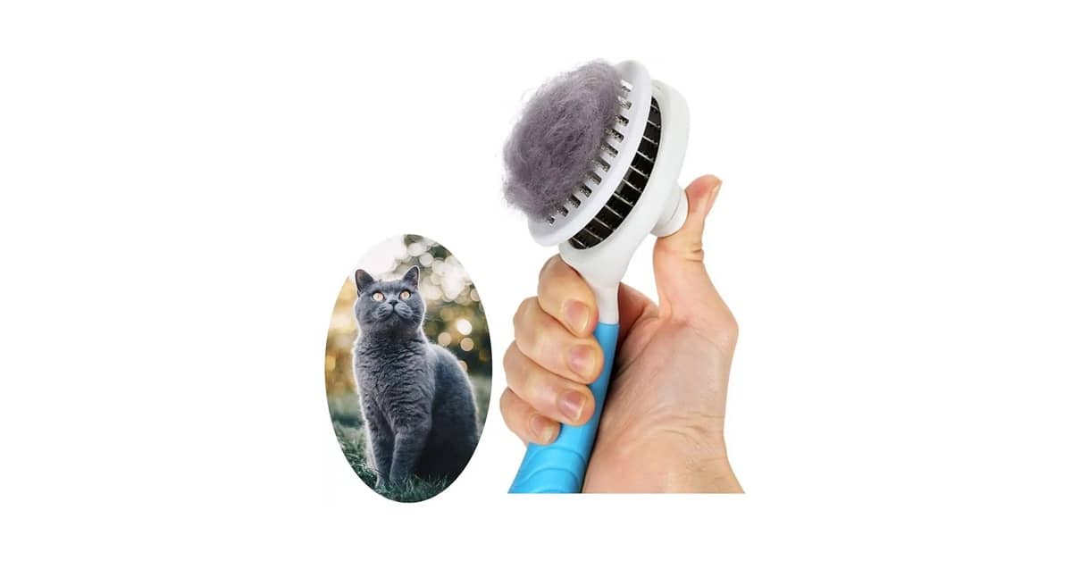 Qual a Melhor Escova para Gato? Fim dos Pelos Soltos