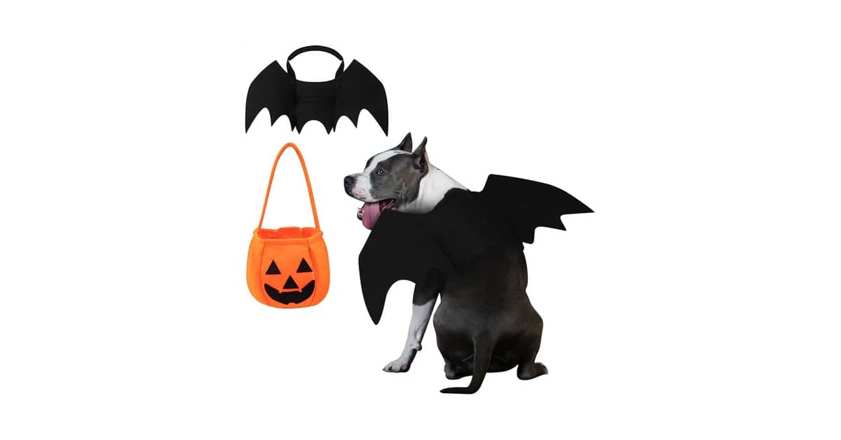 Qual a Melhor Fantasia de Halloween para Cachorro? 10 Ideias