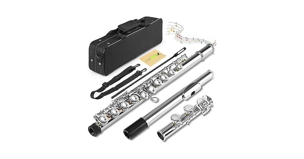 Qual a melhor flauta transversal para seu nível?