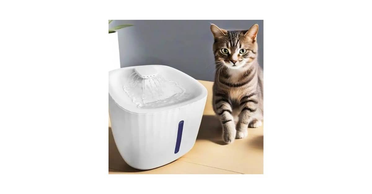 Qual a Melhor Fonte de Água para Gato: 10 Modelos Eficientes
