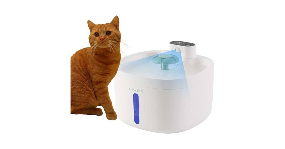 Qual a Melhor Fonte de Água para Gatos Bem Avaliados: Higiene e Hidratação