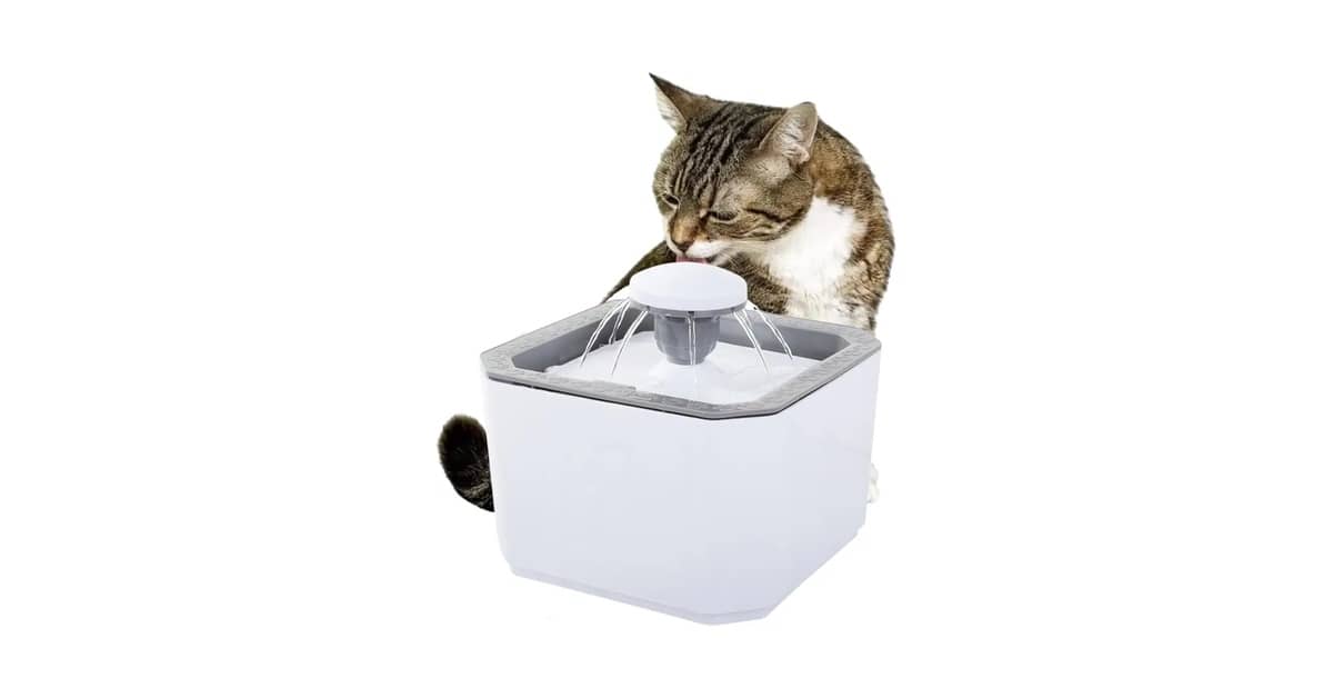 Qual a melhor fonte de agua para gatos silenciosa