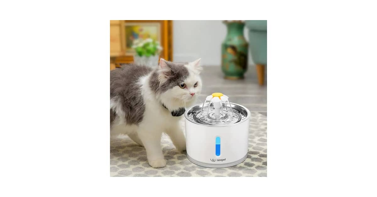 Qual a Melhor Fonte para Gatos com Filtro de Carvão e Bomba Silenciosa: Guia com 8 Análises