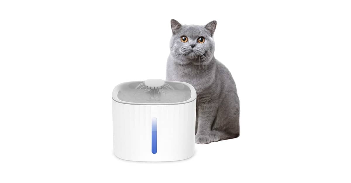 Qual a Melhor Fonte p/ Gatos com Filtro e Luz?