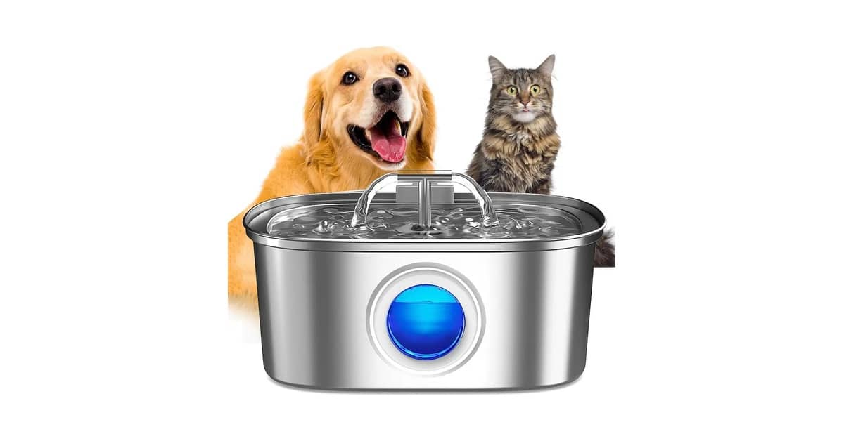 Qual a Melhor Fonte para Gatos com Reservatório Grande: 9 Opções Analisadas