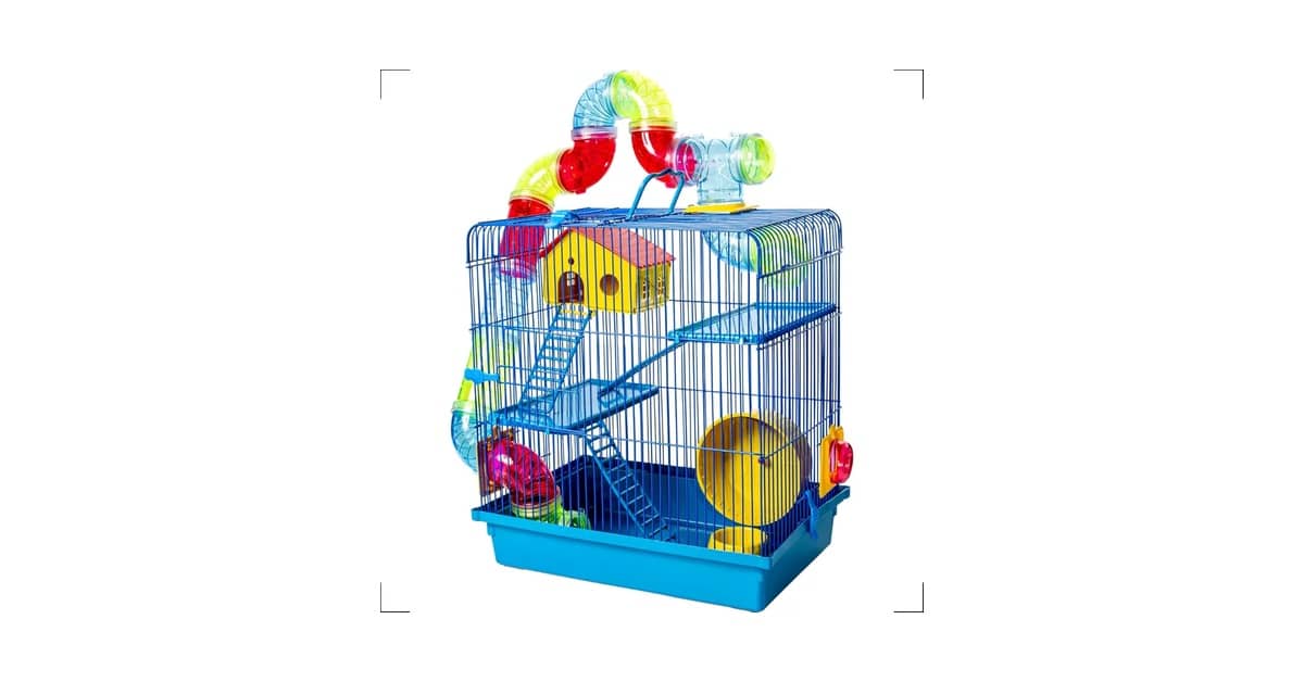 Qual a Melhor Gaiola de Hamster: De 1 a 3 Andares