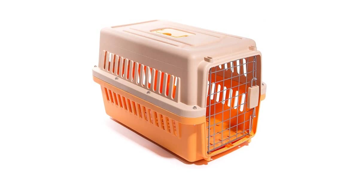 Qual a melhor gaiola para transporte aéreo de pet? Cabine ou Porão?