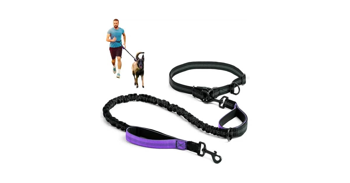 Qual a Melhor Guia para Correr com Cachorro? Análise