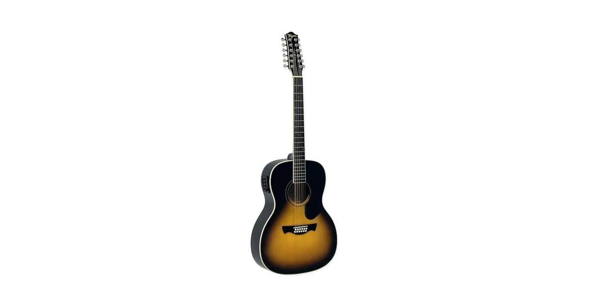Qual a Melhor Guitarra de 12 Cordas? 3 Tagimas