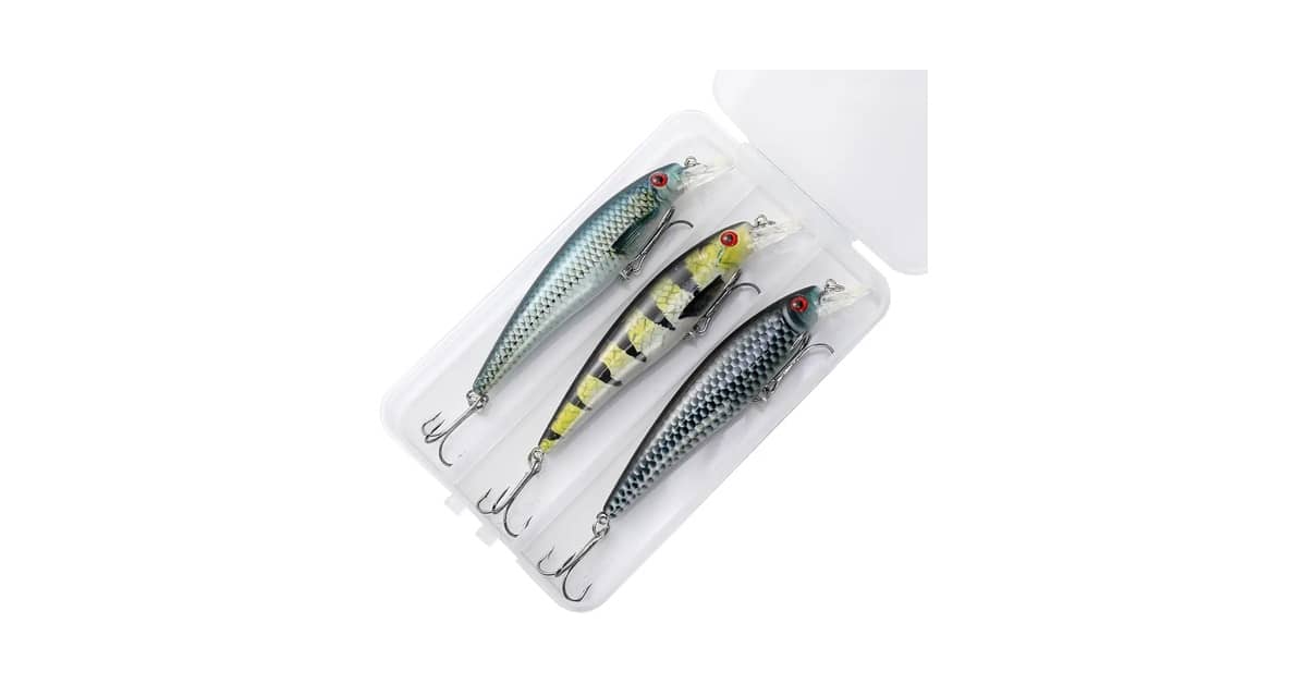 Qual a Melhor Isca de Meia Água para Robalo? Guia