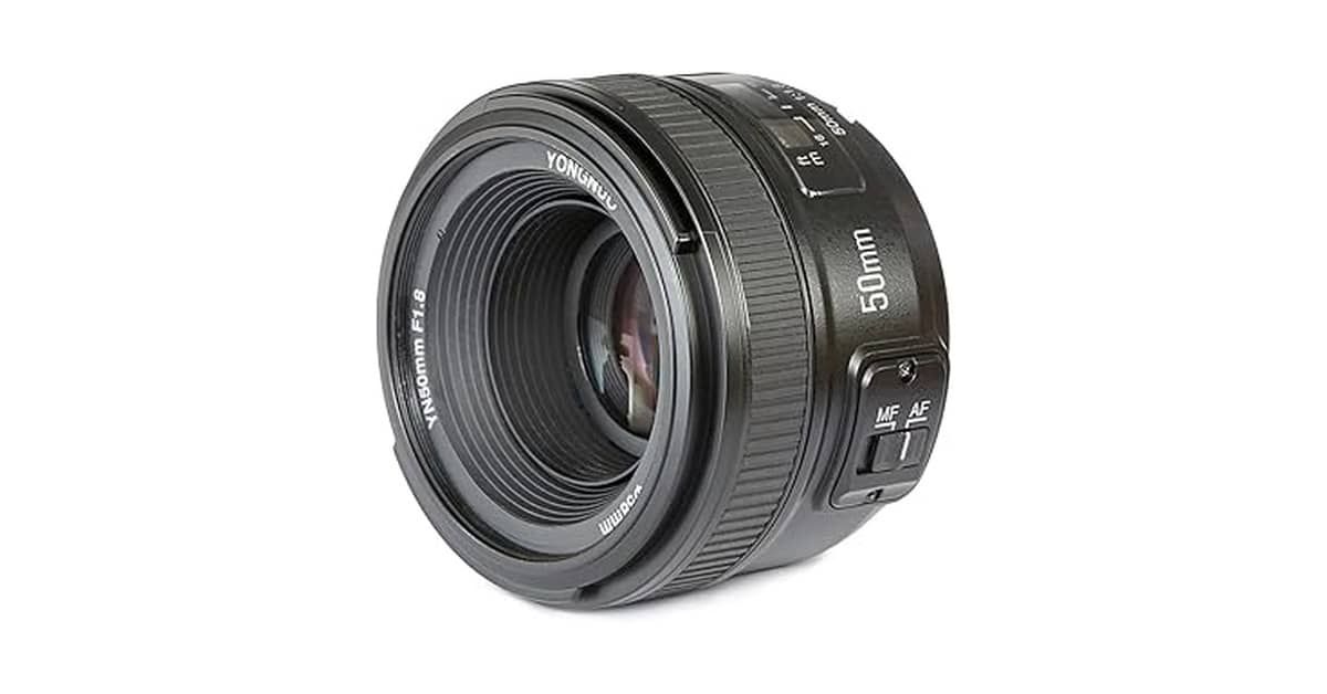 Qual a Melhor Lente Nikon? Guia Por Tipo e Foco